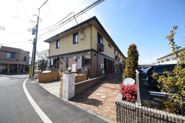 マグノリア