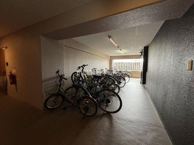 ティムール九条