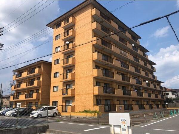 ぴあはくさん(3DK/1階)