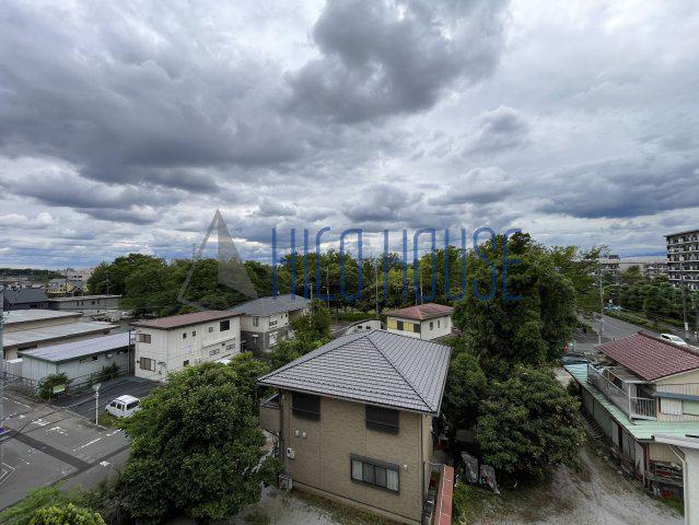 ウィスタリアオーク