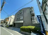 PRIMAVERA UOZAKI