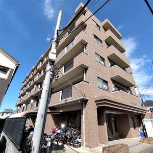 ハイネス・エスエスティ