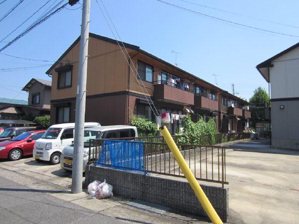 サンフラワーフジ