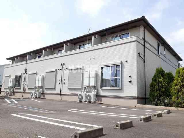 クローバー コリーヌ