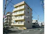 マイネ野口