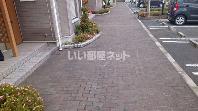 ディモーラB