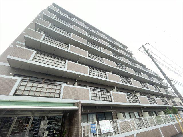 ルクソル浦和