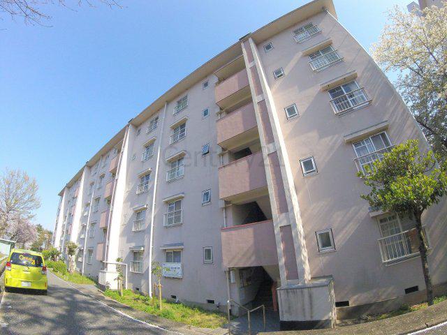 逆瀬川11号棟(2DK/4階)