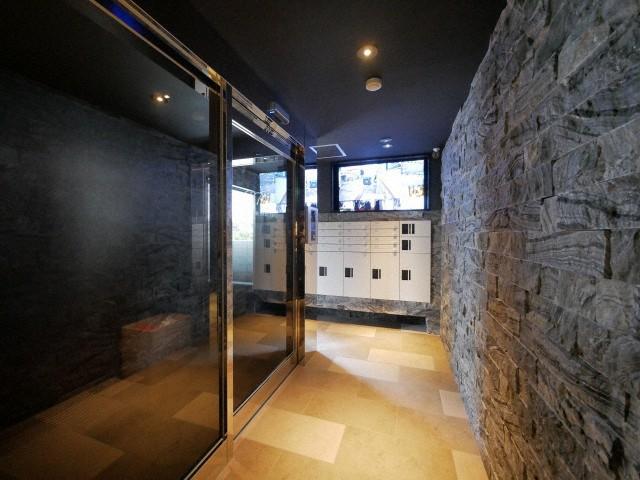 BRAMA南18条