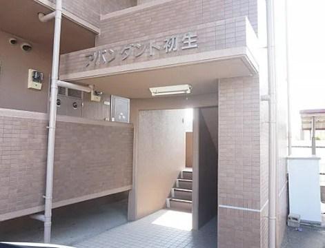 アバンダント初生