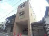 セザール京洛