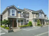 サンハイムC