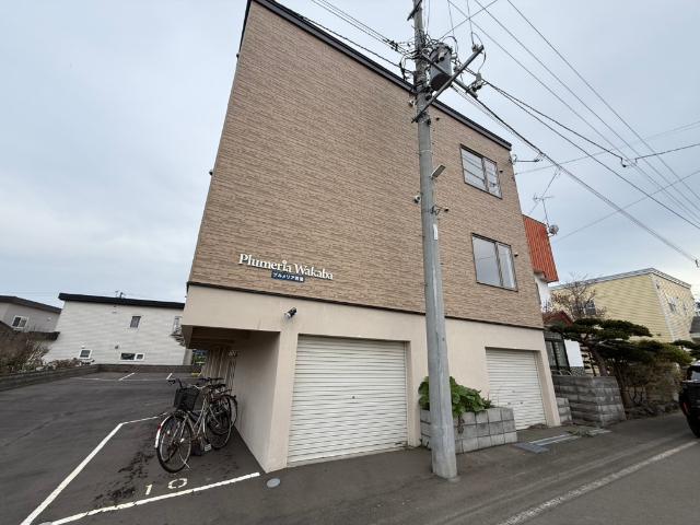 プルメリア若葉