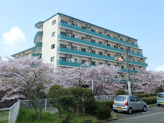 ステラ堤