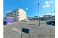 カクニシエコス