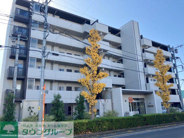 ベルドゥムール草加金明通