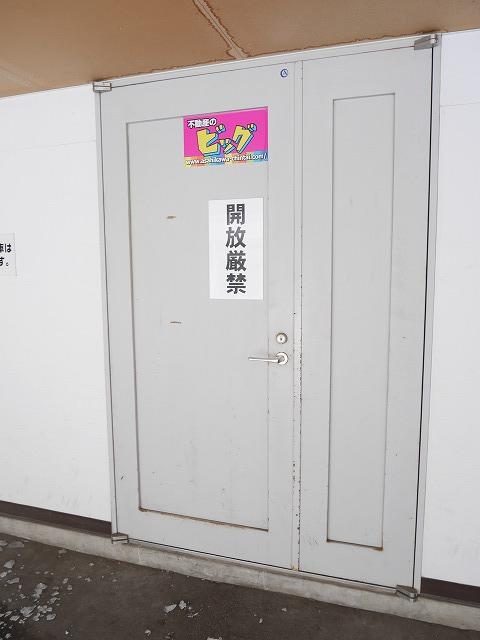 パークカトレア