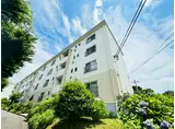 川和台団地13号棟