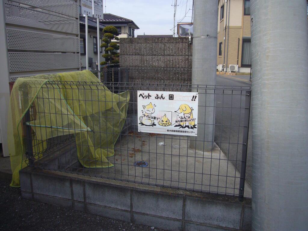 リバーシティーD