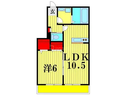 メゾンイワセ(1LDK/1階)の間取り写真