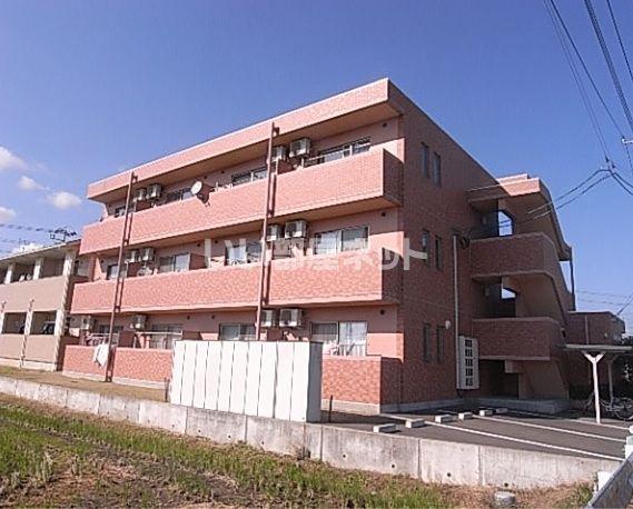 GRAND VIEW 桜花