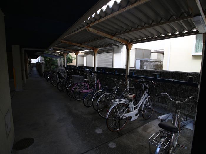 マーサ南野