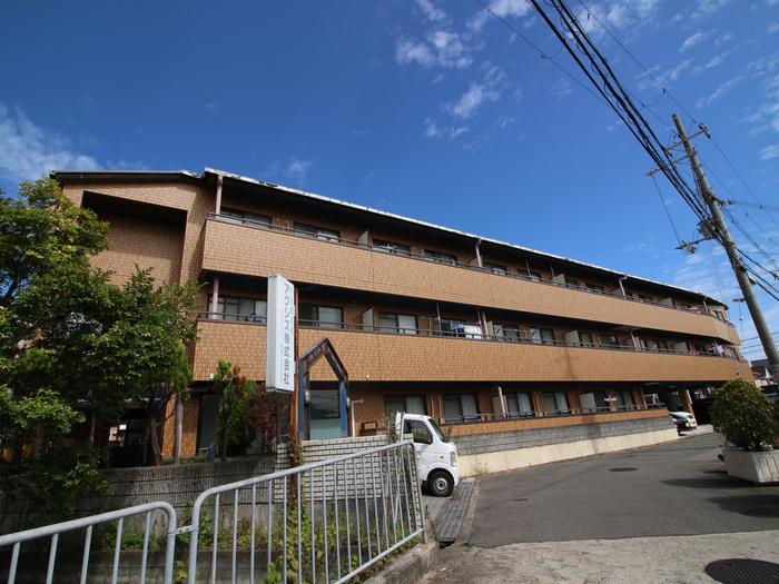 マーサ南野