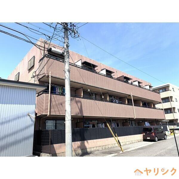 オータムライトⅤ