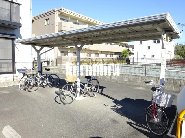 DREAM S