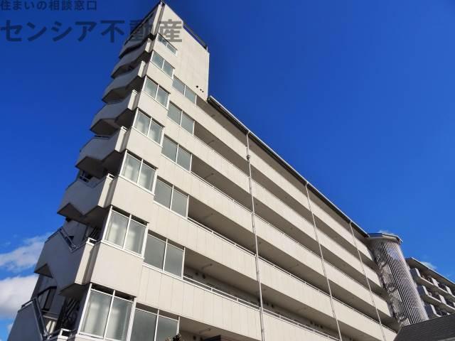 白樺ハイツ 城東