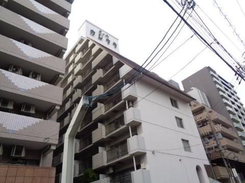 丸の内カジウラマンション(2DK/8階)