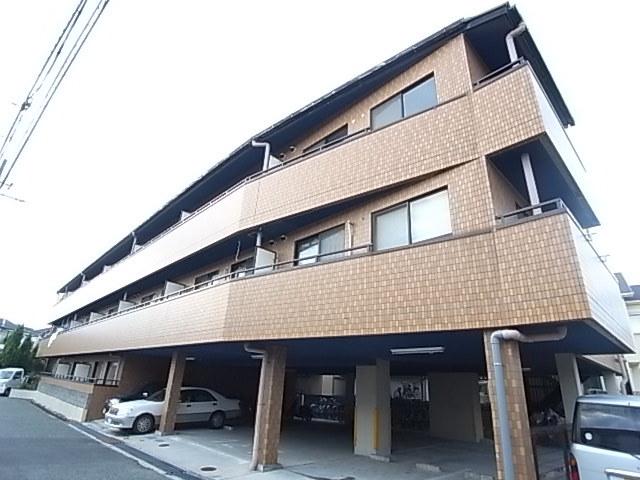 マーサ南野