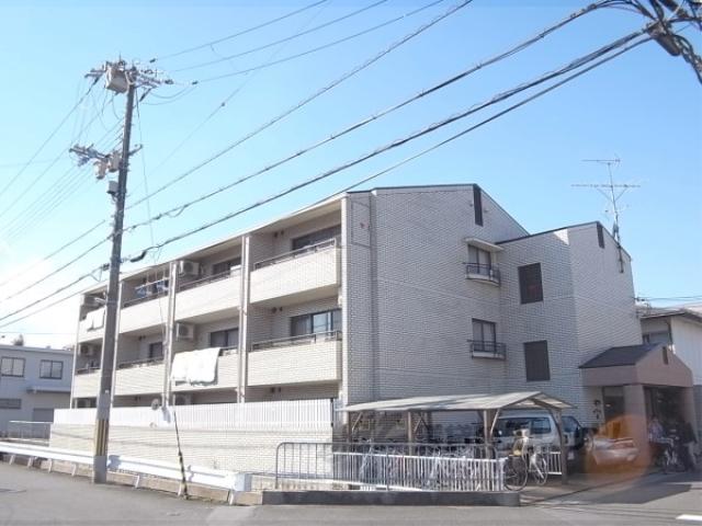 トマーテ桂