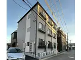 IVY富沢