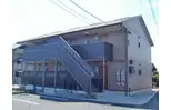 サンフラワー