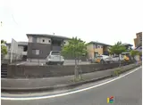 シンシア原田B