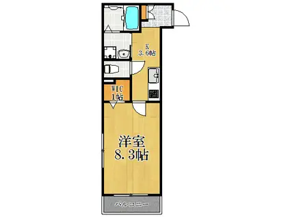 クエストコート(1K/1階)の間取り写真