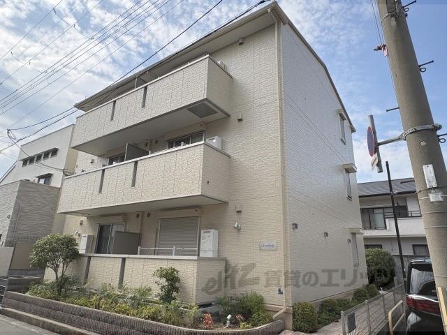 セレンディピティ