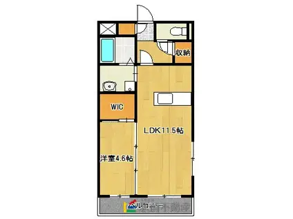 セレーノ・K(1LDK/1階)の間取り写真