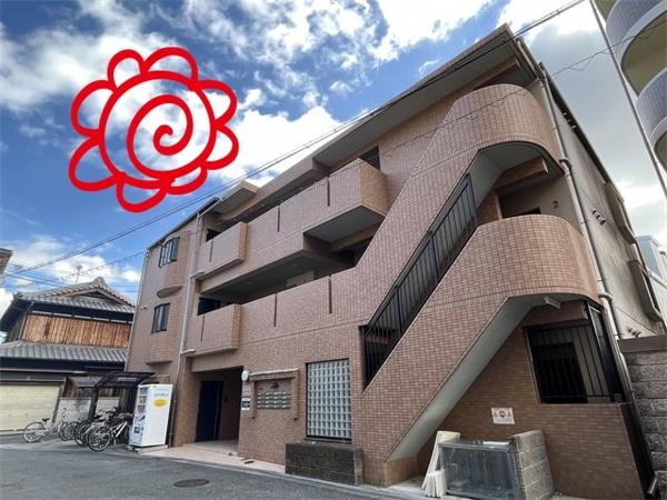 コータ・コート
