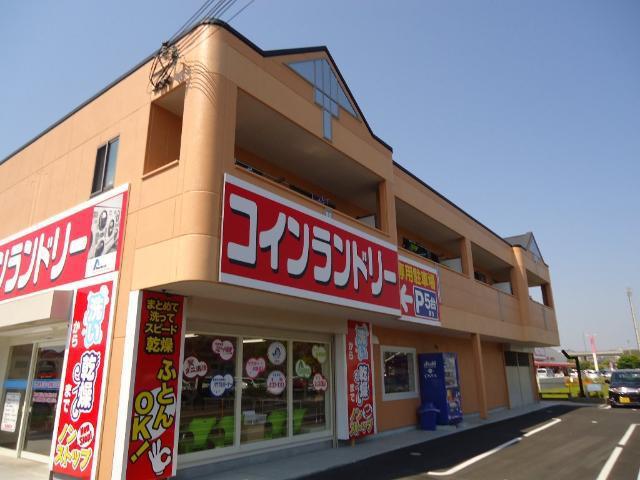 スカイ アイビー