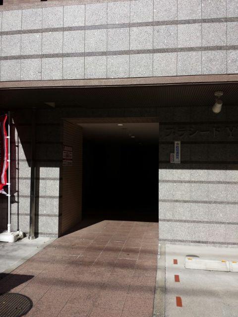 プラシードYS