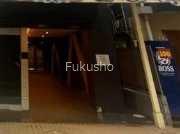 パウロニアバレーテイク12大口通