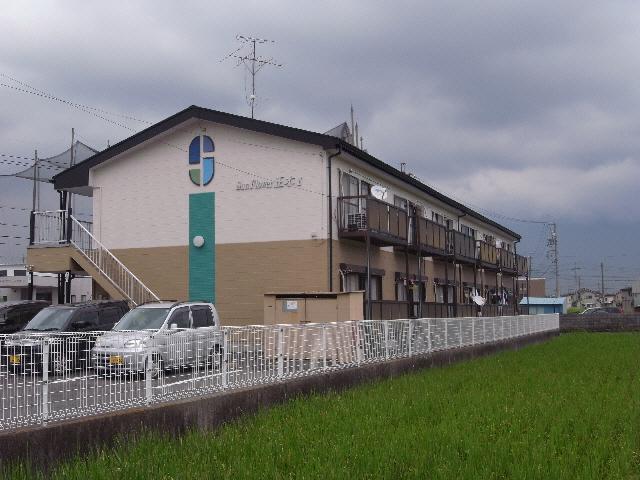 サンフラワー正木II