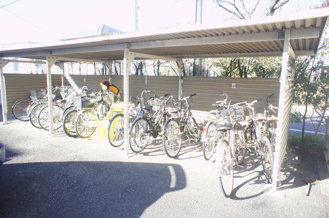 シオン桜木