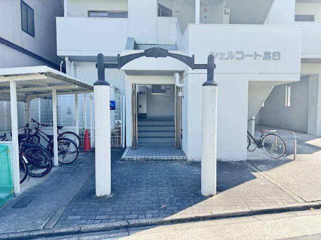 シェルコート辰巳