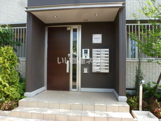 アネシス