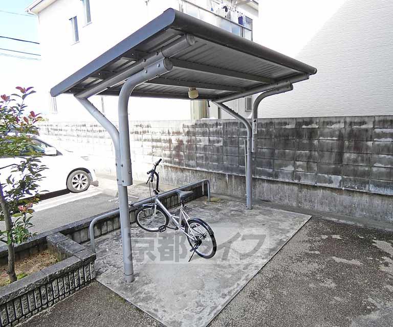 コスモス