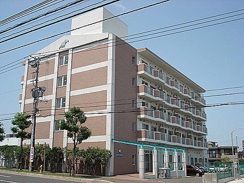 サラサ月寒西
