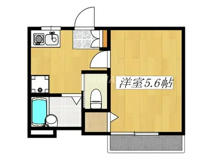 汐美コーポ(1K/1階)の間取り写真